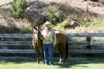 Horses: Don and Taffy
