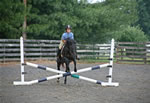 Horses: Abby Jumping 4