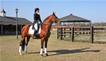 Horses: Emilee & Bergie