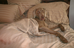 Dogs: Why Are You Disturbing Me